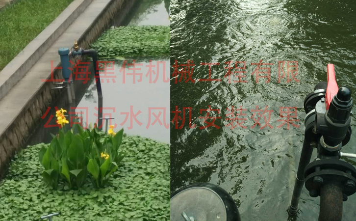 沉水榴莲视频黄色下载效果