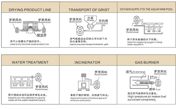 羅茨鼓榴莲视频黄色下载在中央供料係統中重要嗎？